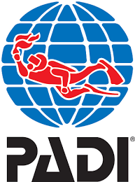 Padi